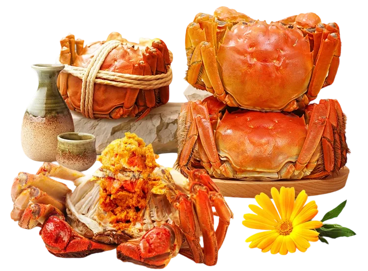 cb71f123664d01aef5b2d1319b8bd07.png